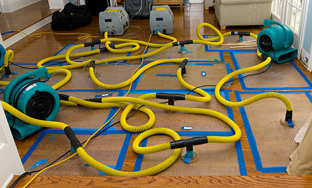 Professional Structural Drying And Dehumidification technician working in Seaford, NY
